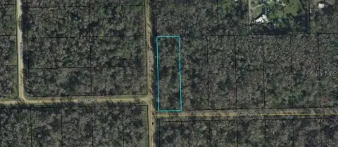 BUNNELL, FL Land For Sale