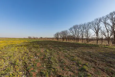 Hunting Land Tract with Wooded Cover