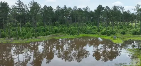 East Texas Timber Tract