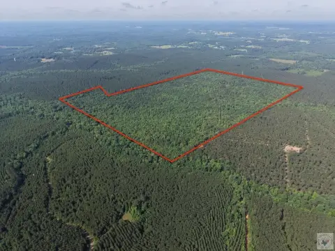 Marion County Land For Sale