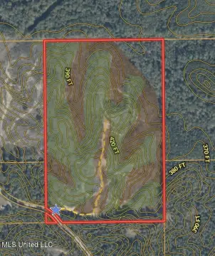 Productive Hunting Land in Sallis, MS