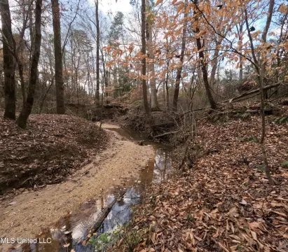 176 Acres Prime Hunting Land