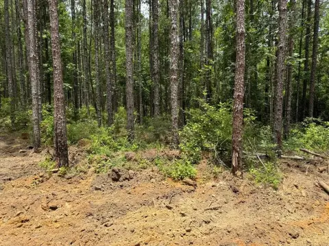 Residential Land in Carriere, MS