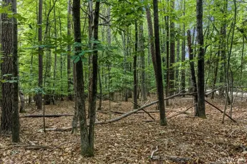 Residential Lot in Merrifield Acres