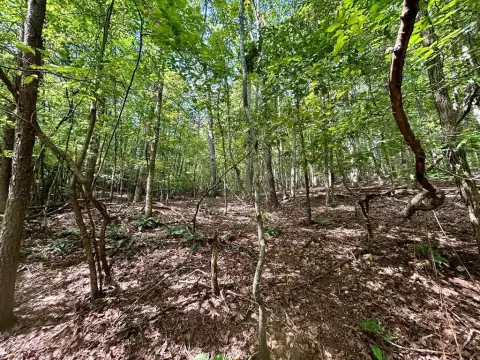7.26 Acres in White County