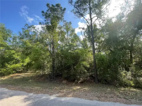 Residential Land in Silver Springs