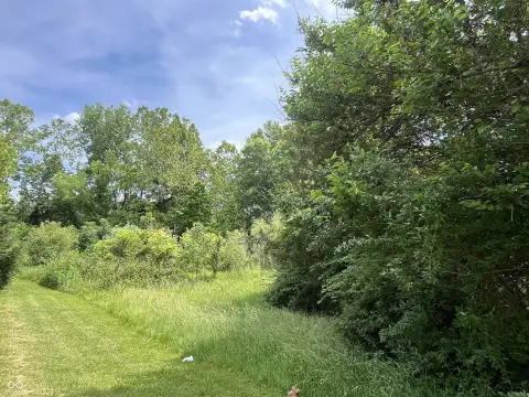 Residential Cul-de-Sac Homesite