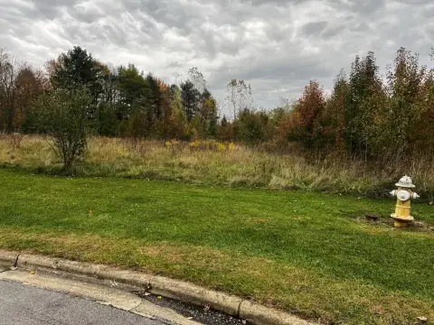 Residential Lots in Quiet Neighborhood