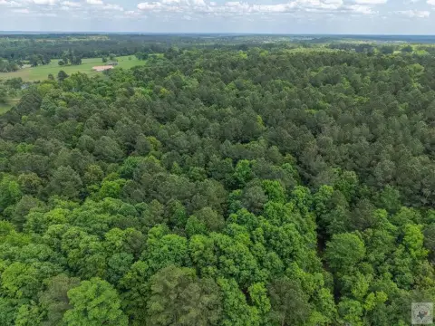 East Texas Timber and Hunting Tract