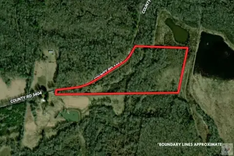 Wooded Hunting and Recreation Land