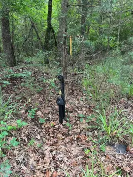 Timberland and Hunting Tract with Utilities