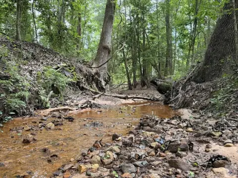 Mixed Timber Hunting Tract