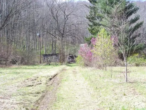 Waynesville Land Development Opportunity