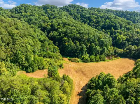 Mountain Hunting Land