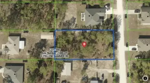 Spacious Vacant Lot in Florida