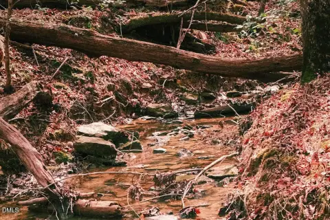 Chapel Hill Wooded Land