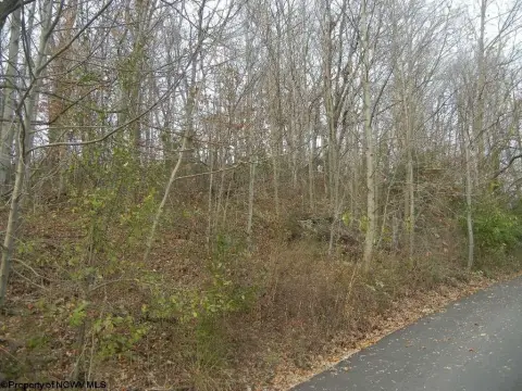 Residential Land in Morgantown, WV