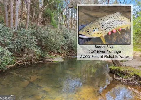 Soque River Homesite Opportunity