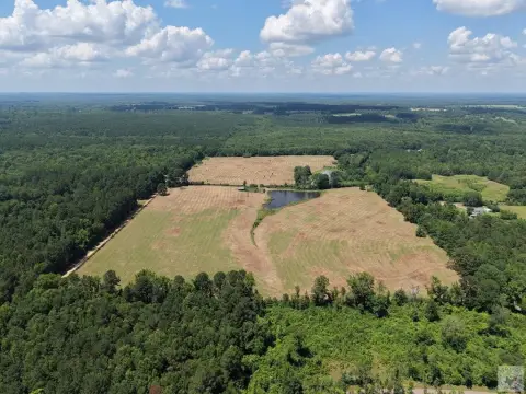 Fenced Agricultural Tract with Pond