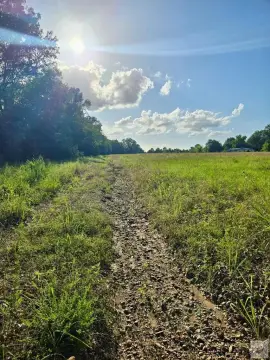Pasture and Pond Land Tract
