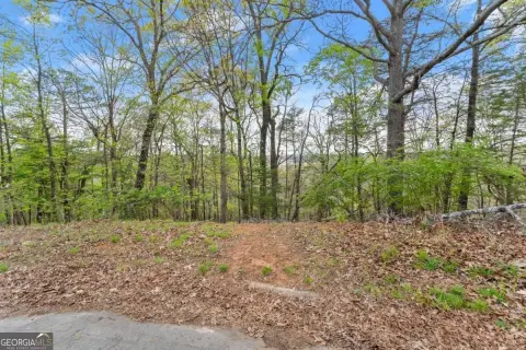 Lakefront Property in Gainesville, GA