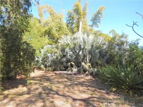 Cape Coral Land For Sale