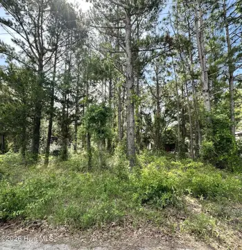 Residential Land Near Shallotte Riverwalk