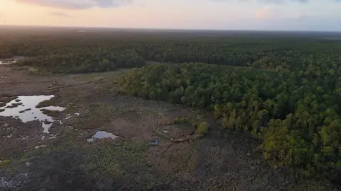 Coastal Mississippi Acreage For Sale