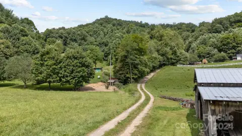 24 Acres in Burnsville, NC