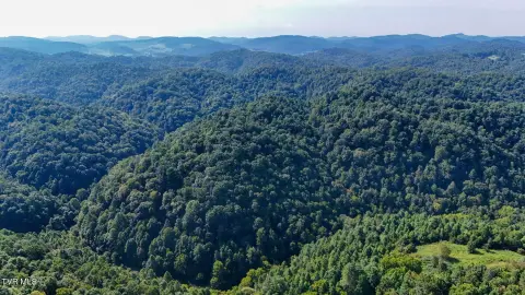Hunting Land Near North Fork River
