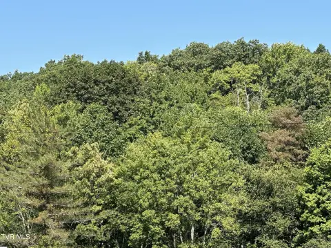 Hunting Land with Homesite