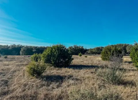 Residential Land in Early, TX