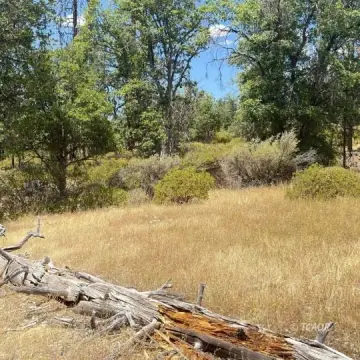 Agricultural Land with Creek Access
