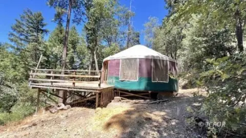 Wooded Hunting Land with Yurt