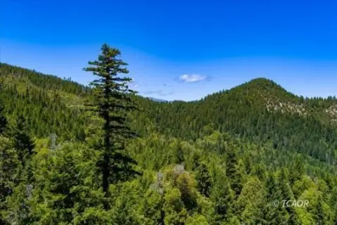 Timberland Preserve Tract