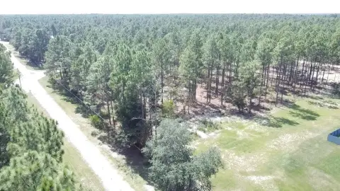 OCALA, FL Buildable Land