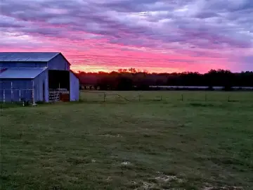 Renovated Cottage on Expansive Acreage