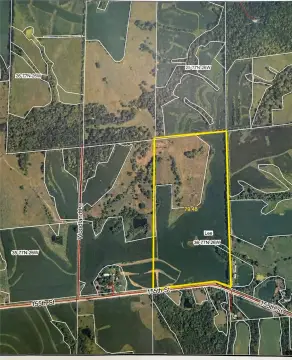 79.48 Acres in Madison County
