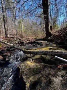 Hunting Land with Pond