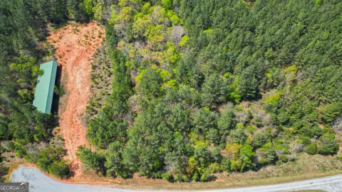 Land Near Lake Russell, Elberton