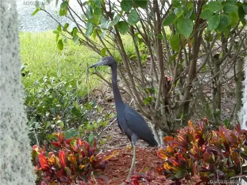 Golf Course View Lot