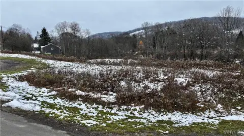 Ellicottville Land with Scenic Views
