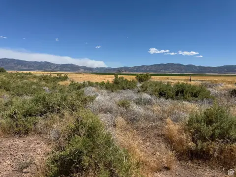 120 Acres Open Range Land