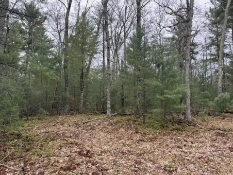 Wooded Land Near National Forest