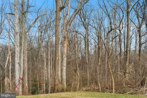 Buildable Homesite in Suitland, MD
