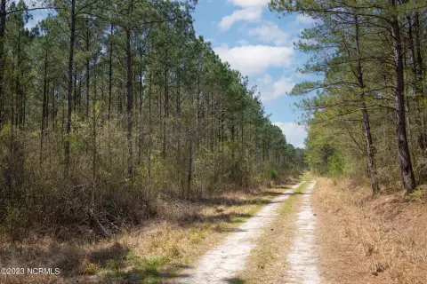 Pitt County Land Investment