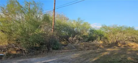 Residential Land in Ben Bolt ISD