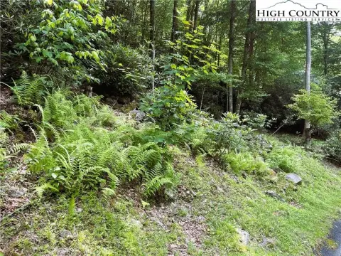 Gently Sloping Residential Lot