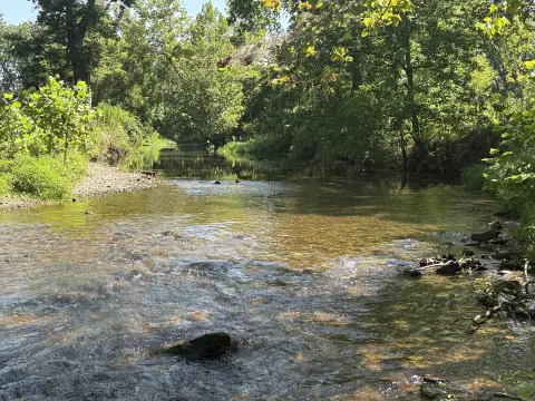 Recreational Timberland with Creek