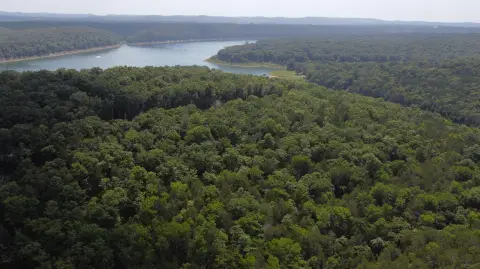 Wooded Lake-Access Acreage